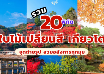 เกียวโต ใบไม้เปลี่ยนสี