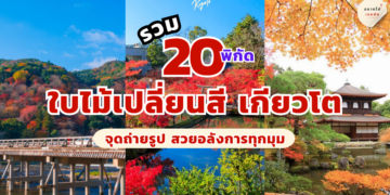 เกียวโต ใบไม้เปลี่ยนสี