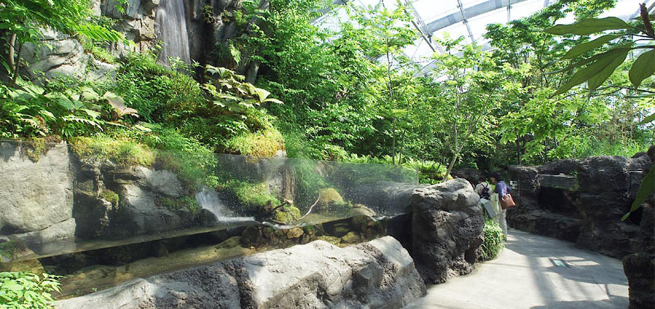 Aquamarine Fukushima