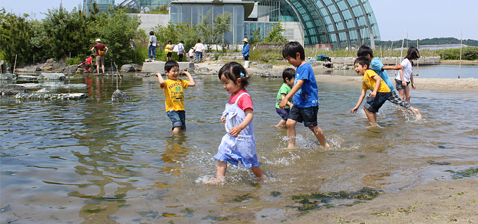 Aquamarine Fukushima