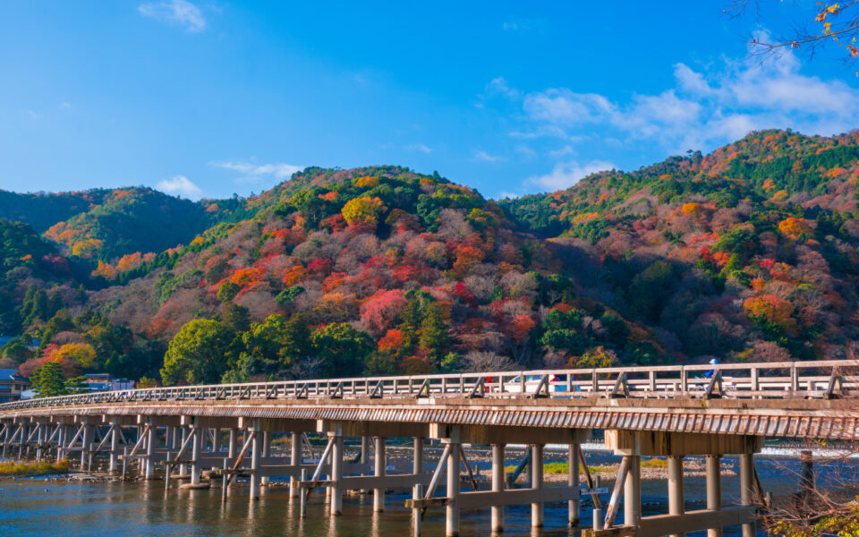 เกียวโต ใบไม้เปลี่ยนสี