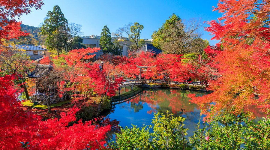 เกียวโต ใบไม้เปลี่ยนสี