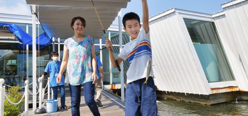 Aquamarine Fukushima