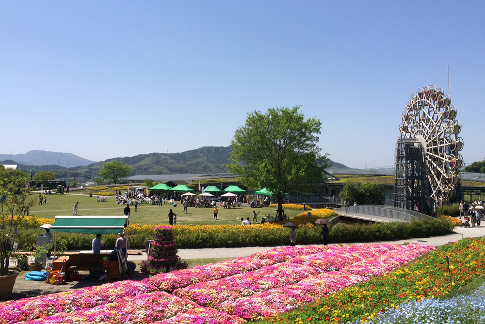 Yamaguchi Flower Land