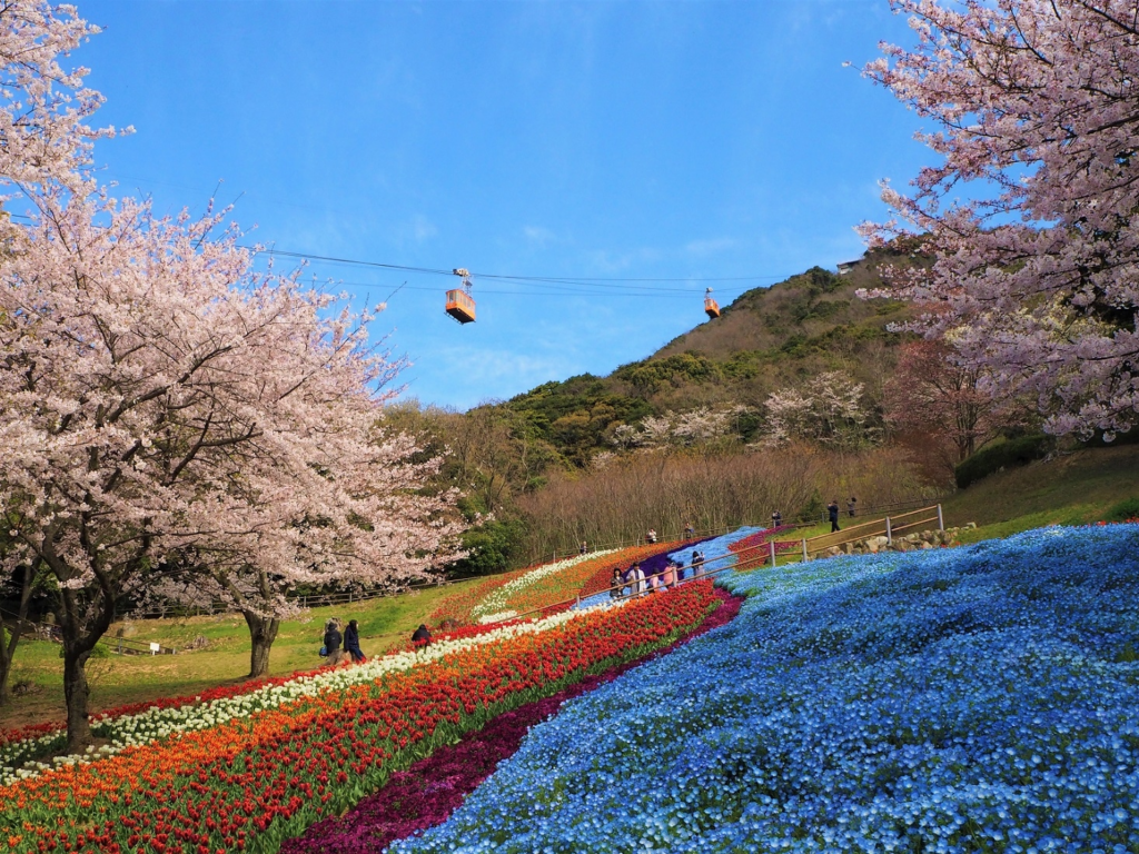 Hinoyama Park