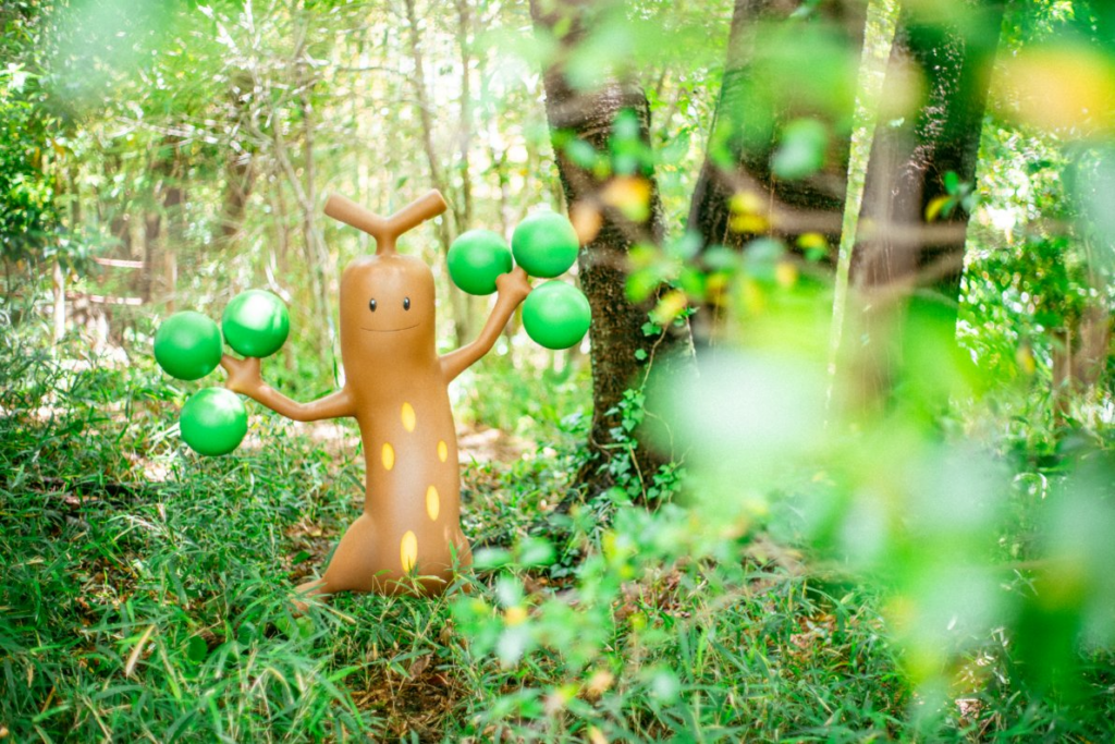 Pokemon Forest